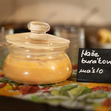 Gasthuis Rychtarka Janov nad Nisou