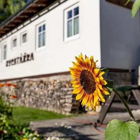Pensionat Rychtarka 3*